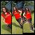 Tressie D. Glenn's profile image
