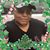 Stephanie Dowell's profile image
