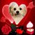 Jonie Kennedy's profile image