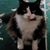 Pamela Shaw's profile image