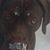 Sonya E Davis's profile image