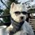 Wally Shedd's profile image