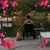 Wendy Shoemaker's profile image