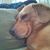 Lynn 'Wilhelms' Ziegler's profile image
