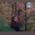 Kaitlyn Paradiso's profile image