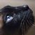 Kristy Roberson's profile image