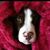 Lj One'r's profile image