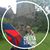 Mary Huppertz Vodovoz's profile image