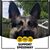 Eldonna Merritt's profile image