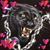 Tootsie Donna Williamette's profile image
