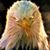 Michael Haggerty's profile image