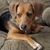 John Reuter's profile image