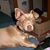 Virginia Derk's profile image