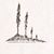 Kristin Kufner's profile image