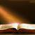 Cheri Persinger's profile image
