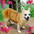 Brenda Brown Riner's profile image