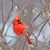 Marita Hollander's profile image
