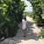 Dennis C Nuce's profile image