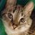 Jeanette Johnson Racine's profile image