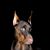 Ruby Waters's profile image