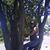 Brenda Anduja's profile image