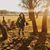 Carrie Coram Hammill's profile image