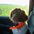 Gerrod Hampel's profile image