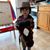 Nichole Piacenza Carpenter's profile image