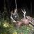 Colten Chambers's profile image