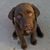 Marianne Lins's profile image