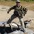 Phillip Rusty Boisselle's profile image
