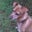 Glenn Opdycke-Hansen's profile image
