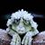Jane Volpe's profile image