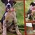 Linda Unger's profile image