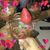 Carmen Maderal's profile image
