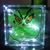 Deanna Lyddy's profile image
