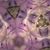 Brenda Brown's profile image