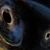 David Day's profile image