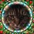 Donna Lynn Styan's profile image