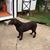 Kristine Summerville Salley's profile image