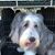 Karen Norteman's profile image