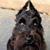 Gary Christopher Mallory's profile image