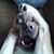 Robin Guidotti Butz's profile image