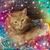 Sasha Hern's profile image