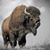Todd Blotsky's profile image