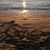 Candy Walczak's profile image