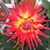 Thomas Bohn's profile image