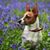 Cathy Huban's profile image