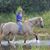 Denise Langell's profile image