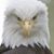 Daryl Kirby's profile image